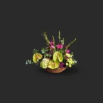 bouquet anthurium Genève avec anthuriums verts, glaïeuls roses, hydrangea blanc et gypsophile