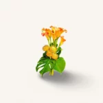 bouquet callas Genève : callas orangés, leucospermums et monstera, bouquet tropical élégant pour livraison à Genève
