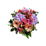bouquet hortensias Genève avec roses et gerberas, composition colorée Chant d'Été, livraison à Genève