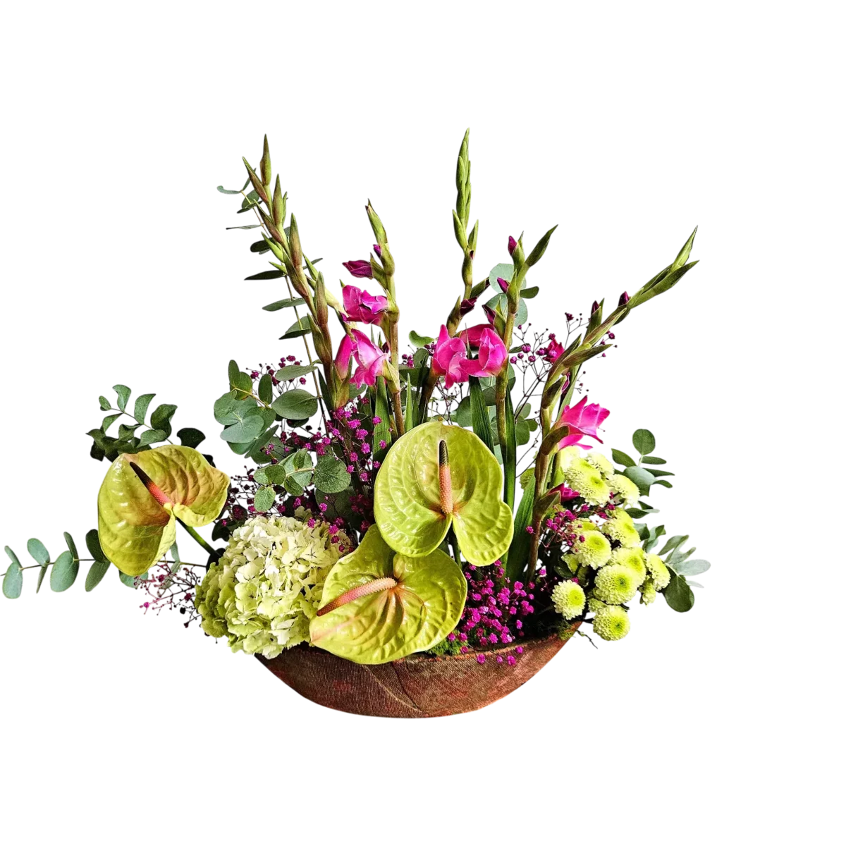 bouquet anthurium Genève avec anthuriums verts, glaïeuls roses, hydrangea blanc et gypsophile