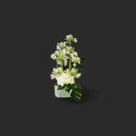 bouquet agapanthe et hortensias blancs, arrangement floral épuré, élégance moderne - livraison Genève
