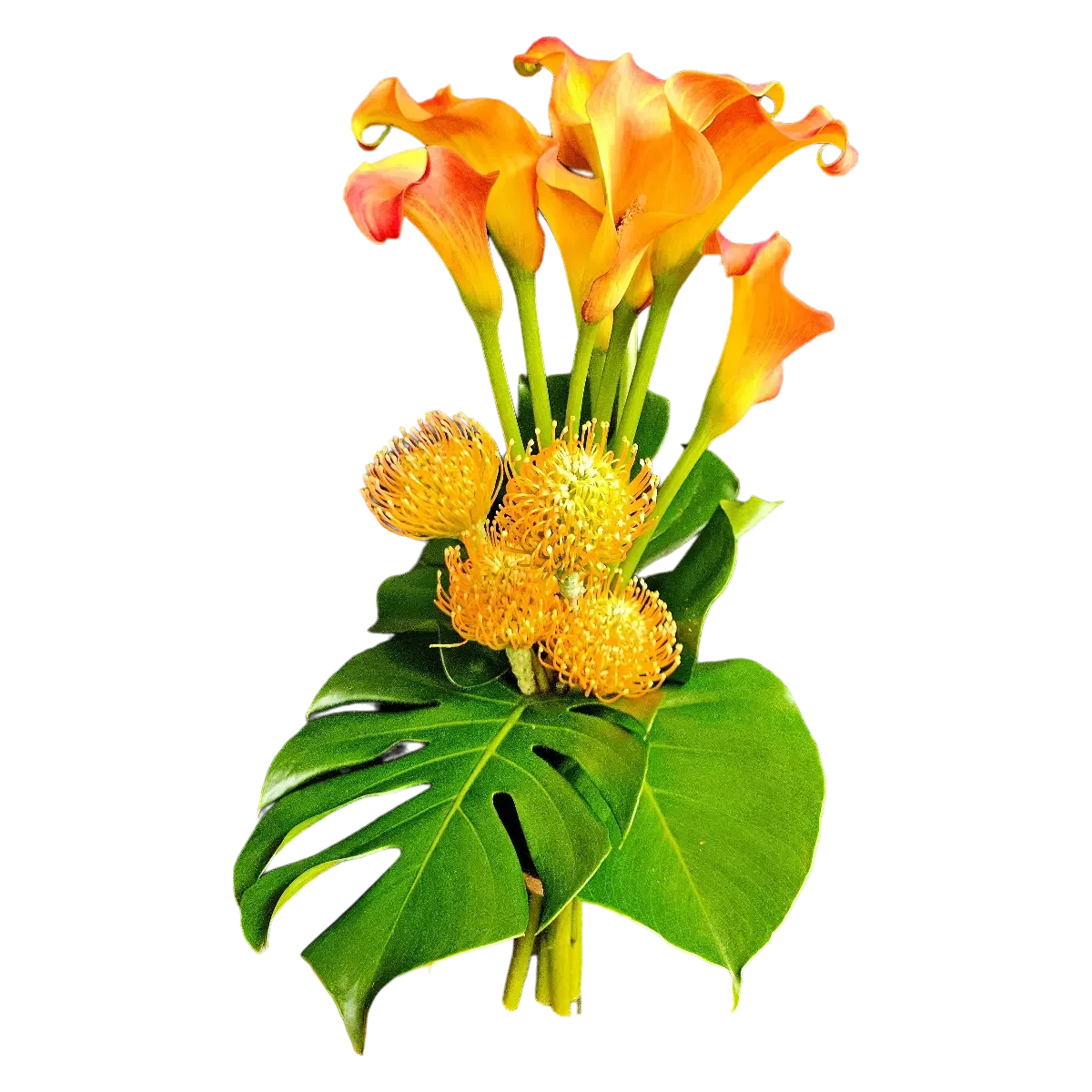 bouquet callas Genève : callas orangés, leucospermums et monstera, bouquet tropical élégant pour livraison à Genève