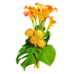 bouquet callas Genève : callas orangés, leucospermums et monstera, bouquet tropical élégant pour livraison à Genève