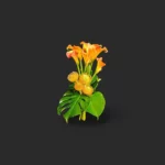 bouquet callas Genève : callas orangés, leucospermums et monstera, bouquet tropical élégant pour livraison à Genève