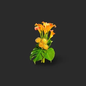 bouquet callas Genève : callas orangés, leucospermums et monstera, bouquet tropical élégant pour livraison à Genève