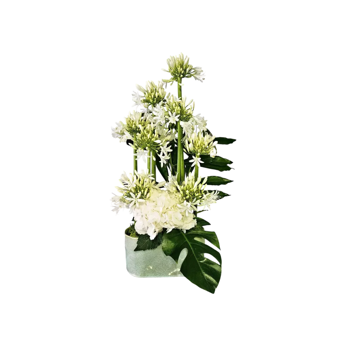 bouquet agapanthe et hortensias blancs, arrangement floral épuré, élégance moderne - livraison Genève