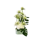 bouquet agapanthe et hortensias blancs, arrangement floral épuré, élégance moderne - livraison Genève