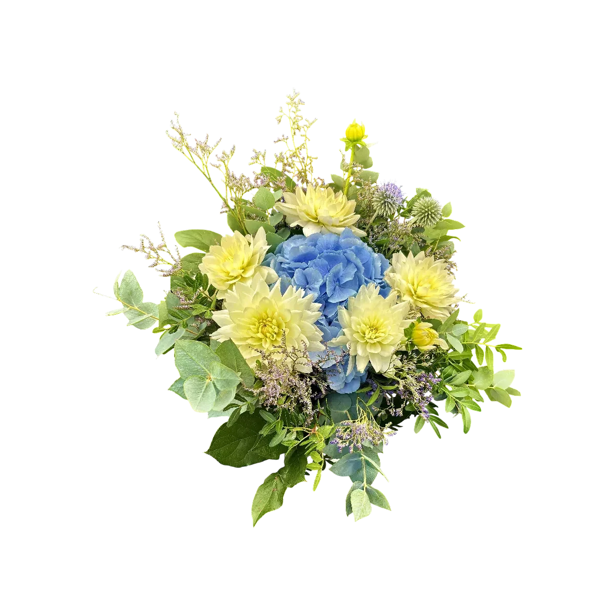 hortensias dahlia Genève, bouquet pastel hortensias bleus et dahlias crème, eucalyptus