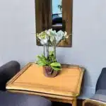 orchidée blanche Genève en pot transparent, phalaenopsis aux fleurs satinées et racines aériennes sur tapis d'écorce