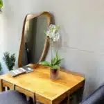orchidée blanche Genève en pot verre avec mousse et écorce, phalaenopsis élégant