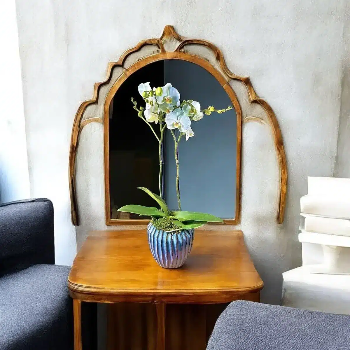 orchidée blanche Genève en pot céramique bleu-vert, phalaenopsis deux hampes, fleurs satinées et mousse décorative