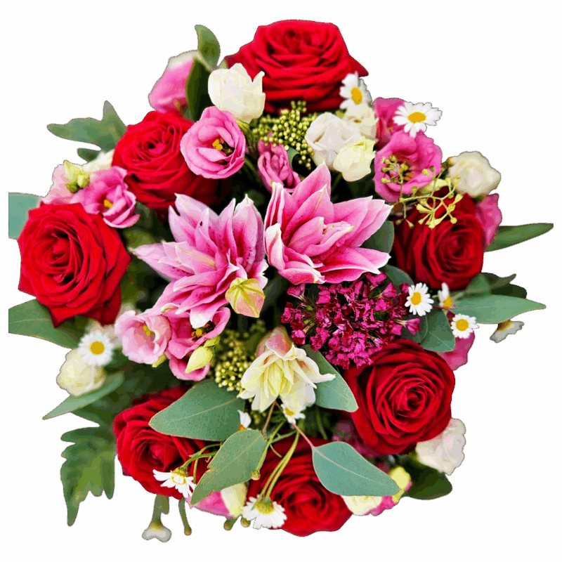 midi carmin__midi carmin