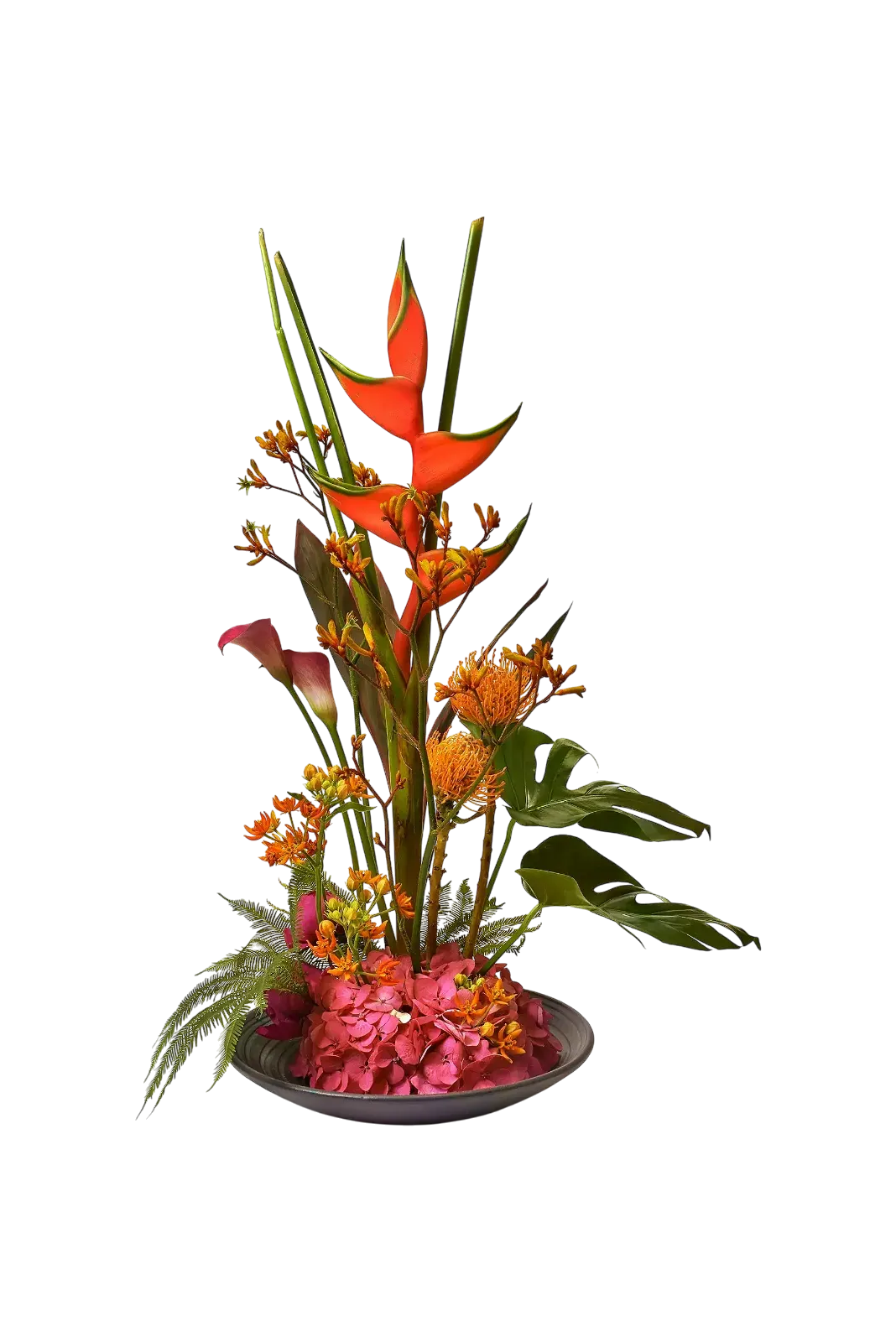 JTNE-104.webp bouquet tropical Genève : héliconias corail, protéas et hortensia dans un arrangement contemporain