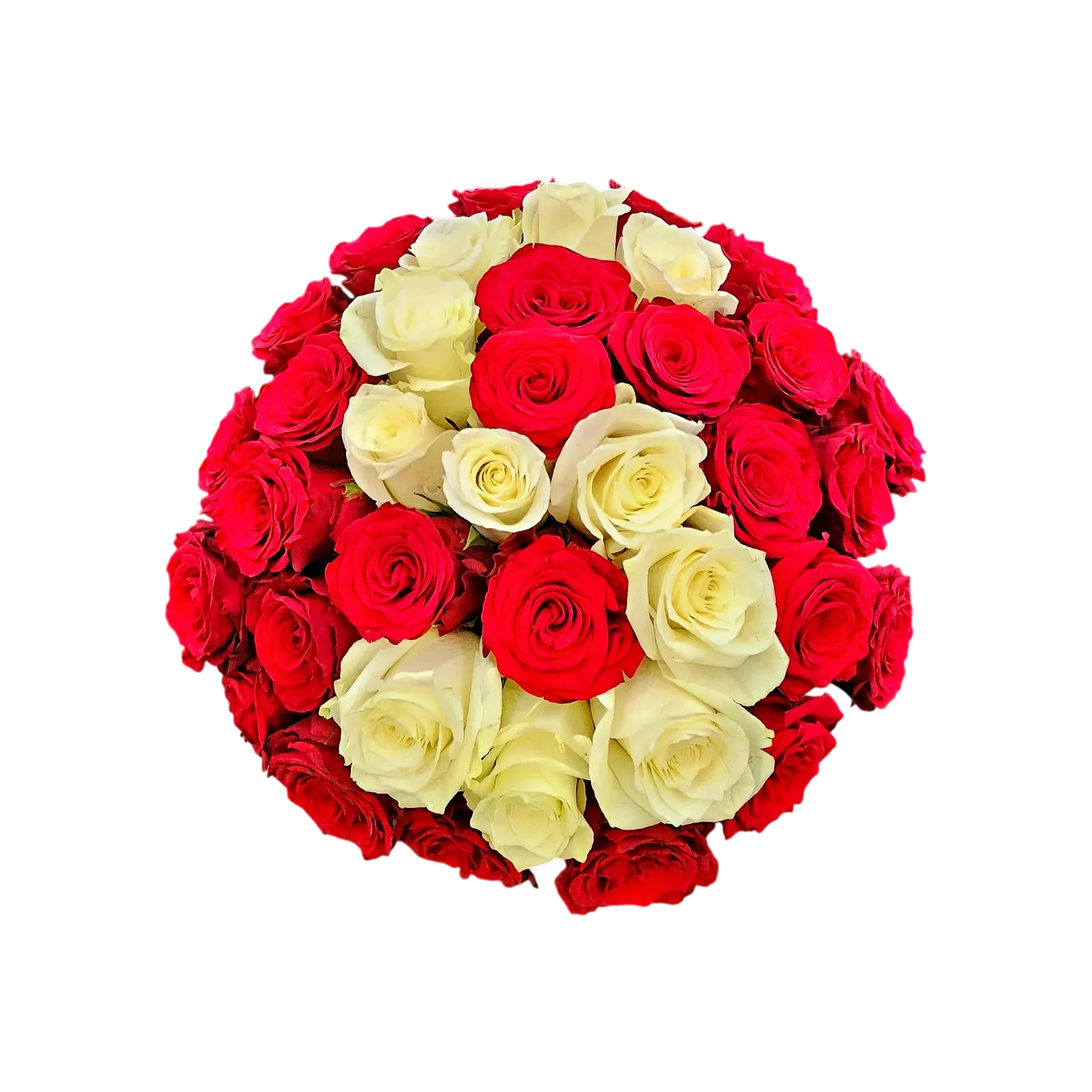 RA-77.webp bouquet roses Genève, composition bicolore de roses rouges et blanches sceau de velours