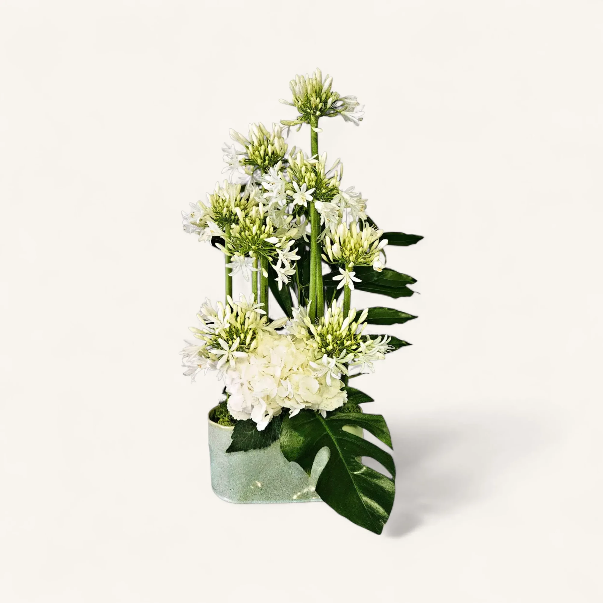 RCUyRnRzJTNE.webp bouquet agapanthe et hortensias blancs, arrangement floral épuré, élégance moderne - livraison Genève