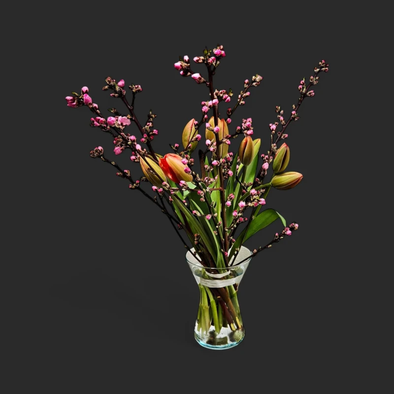 Notre bouquet tulipes prunus Genève "Prunelle d'Avril" dans un vase en verre, avec tulipes saumonées et branches de prunus rose.