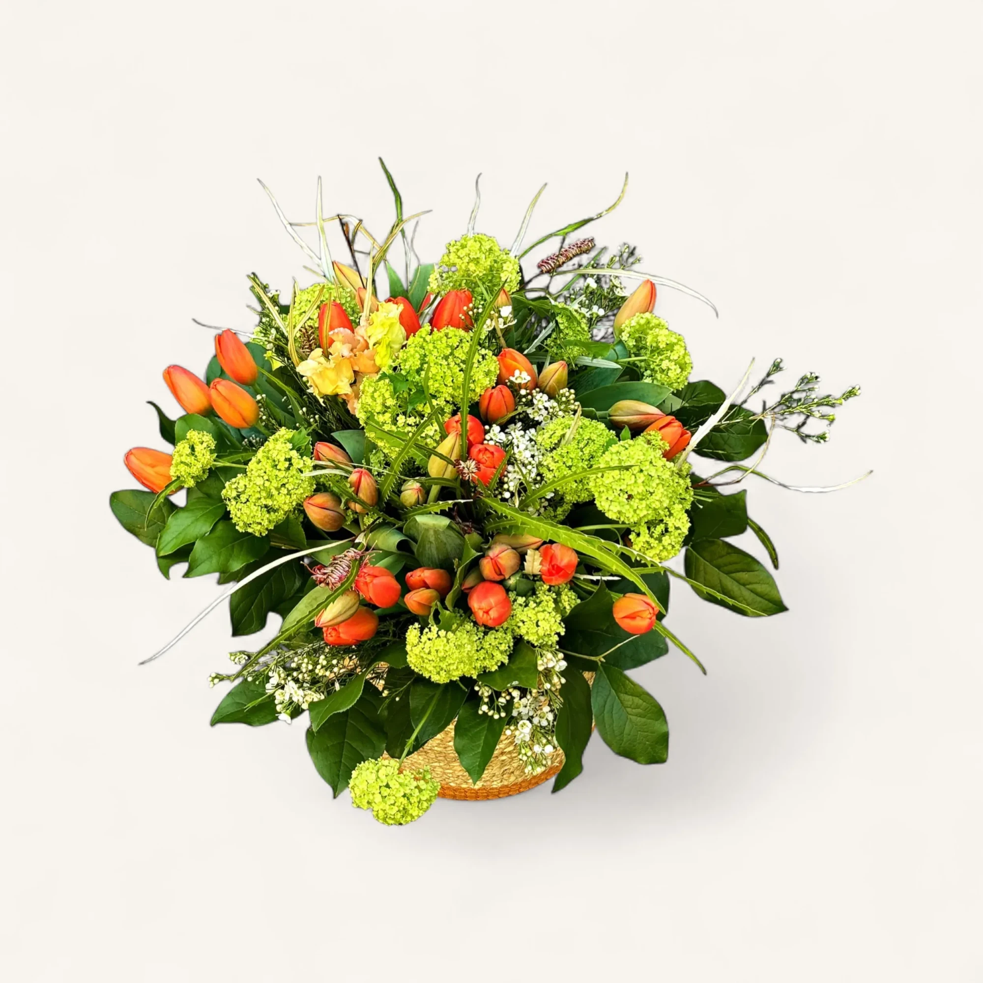 JTNE-8.webp Gros plan sur le bouquet tulipes corail viorne genève dans son panier tressé, montrant l'éclat des fleurs colorées.