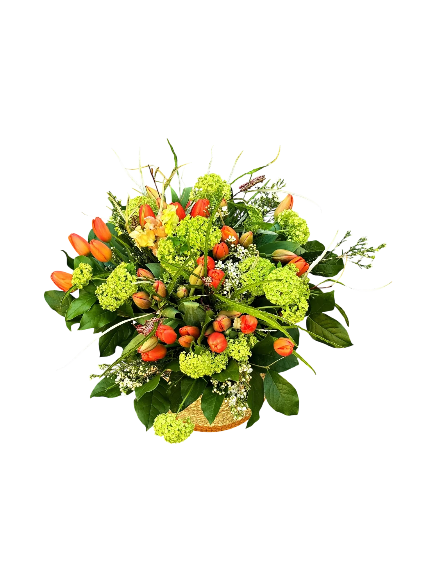 OTAlM0Q.webp Gros plan sur le bouquet tulipes corail viorne genève dans son panier tressé, montrant l'éclat des fleurs colorées.