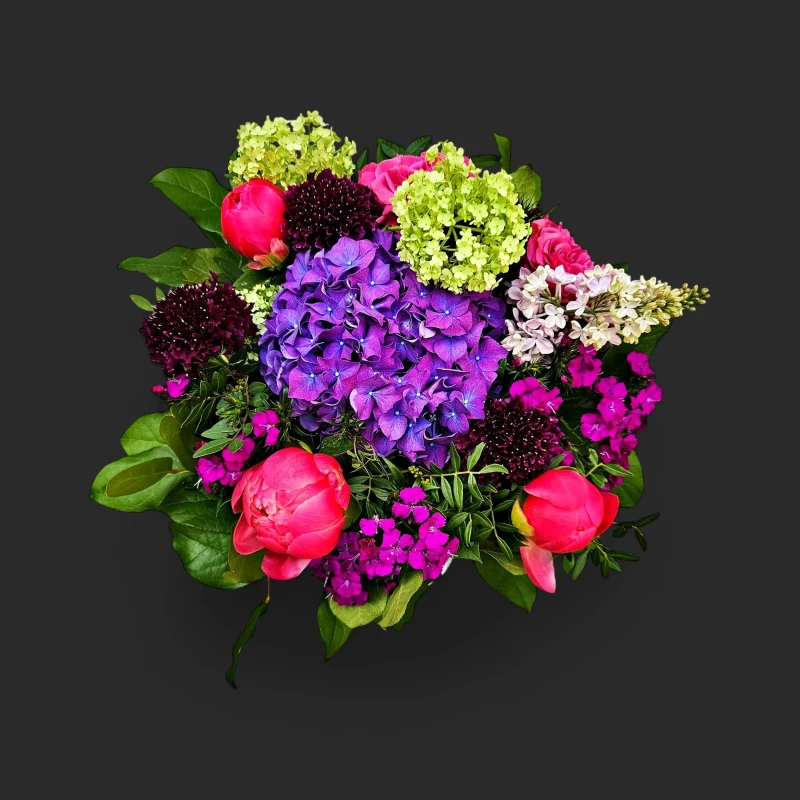 Vue de face du bouquet hortensia genève Cantilène d'Azur, avec son volumineux hortensia violet et ses pivoines corail.