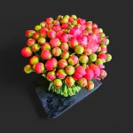 Vue rapprochée du bouquet pivoines corail genève 'Pluie Coralline', un dôme dense de boutons corail et verts sur fond noir.