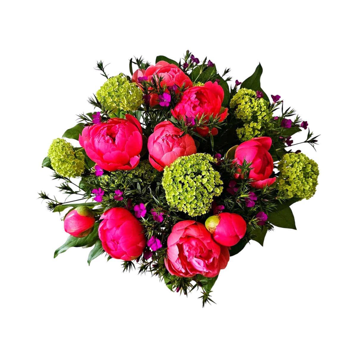 Le bouquet pivoines locales genève : pivoines rose-fuchsia, viorne verte et touches de magenta sur un fond sombre.
