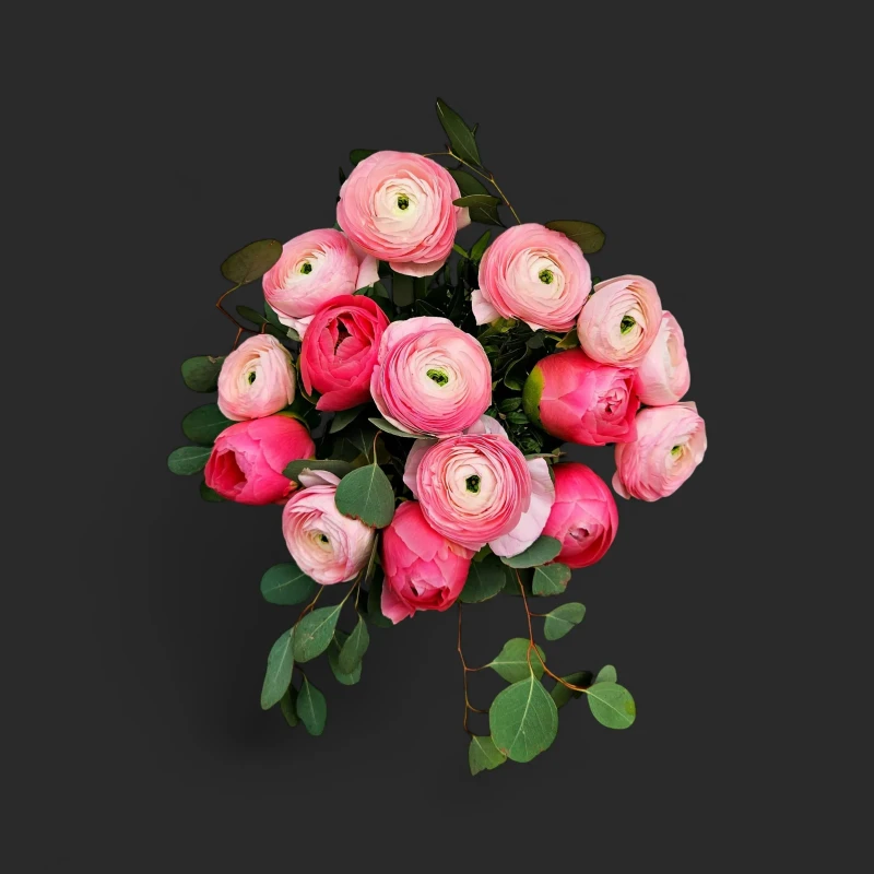 Gros plan sur un délicat bouquet renoncules pivoines geneve aux tons rose pastel, avec son feuillage d'eucalyptus argenté.