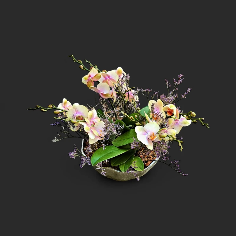 Notre coupe orchidées pastel genève Calme Opalin avec ses fleurs délicates rose et crème et ses touches de statice violet.
