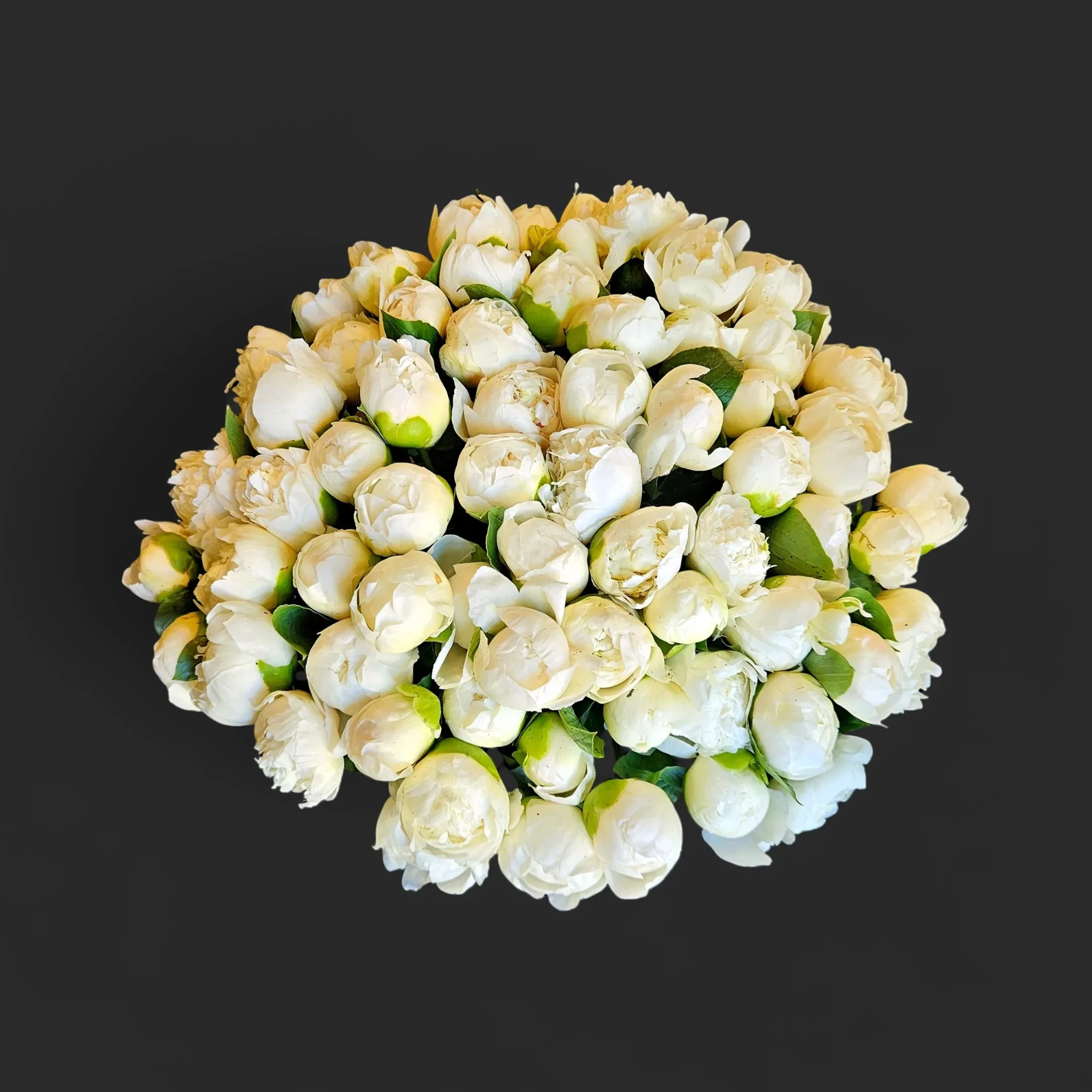 RA.webp Vue de dessus d'un somptueux bouquet pivoines blanches Genève, un dôme dense de fleurs ivoire sur fond noir.