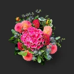 Gros plan du bouquet de juin genève hortensia rose avec ses dahlias pêche et chardons bleus, sur un fond sombre.