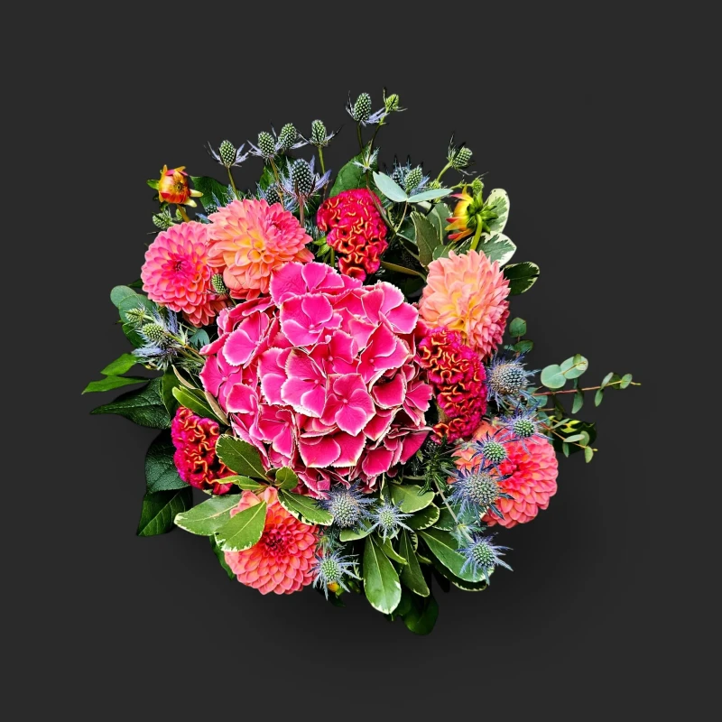 Gros plan du bouquet de juin genève hortensia rose avec ses dahlias pêche et chardons bleus, sur un fond sombre.