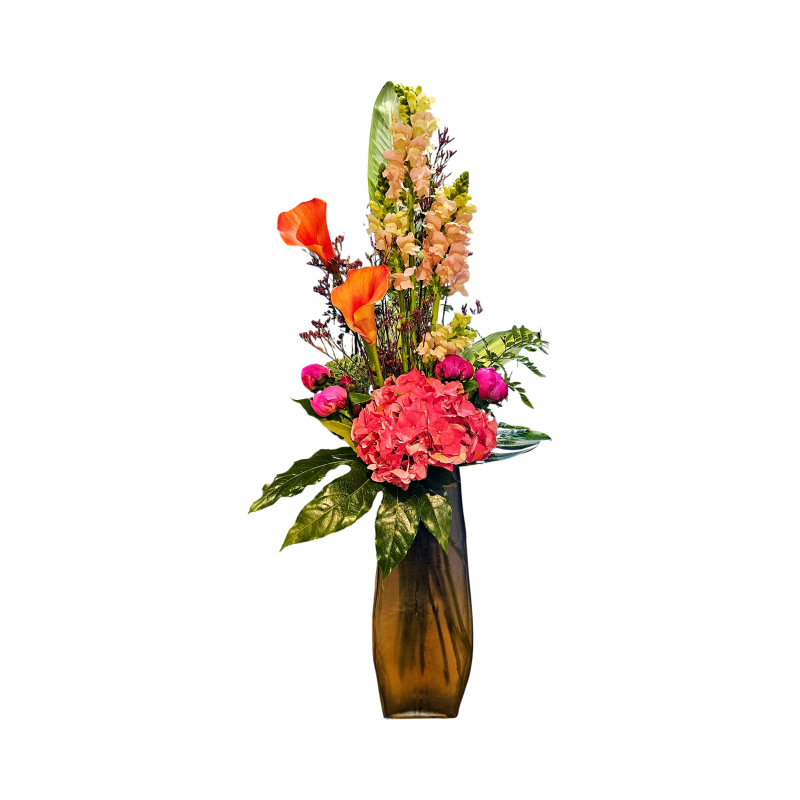 palimpseste rose