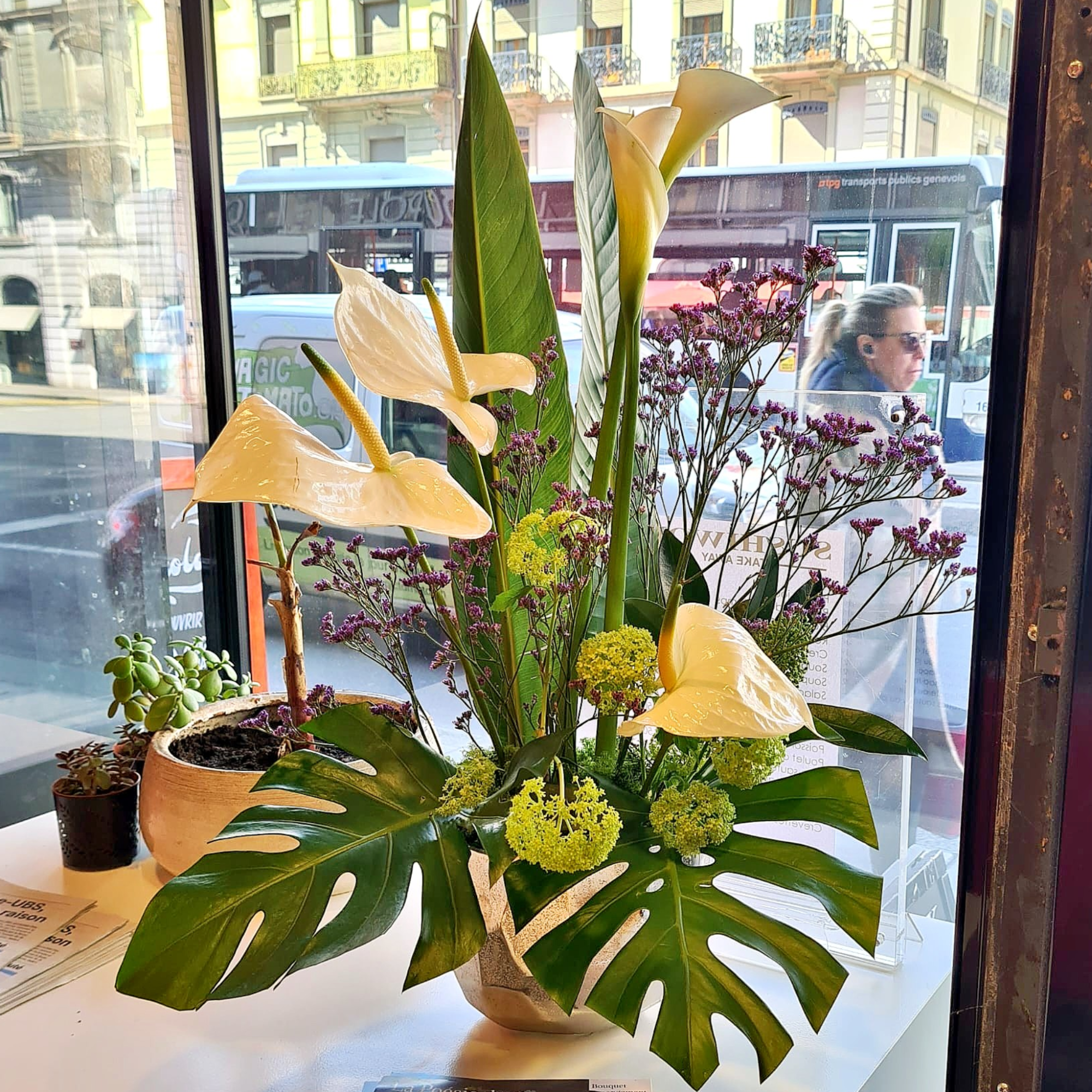 secret des arums_improve secret des arums_improve