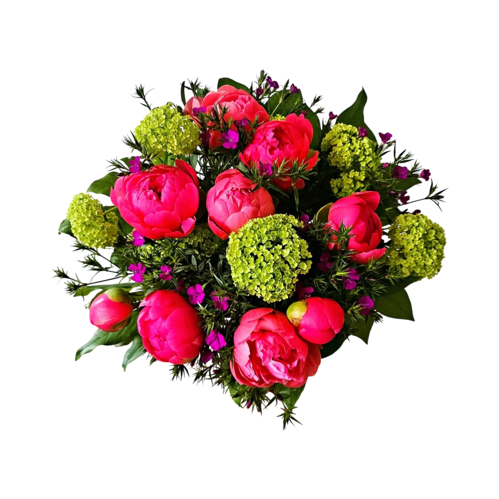 Le bouquet pivoines locales genève : pivoines rose-fuchsia, viorne verte et touches de magenta sur un fond sombre.