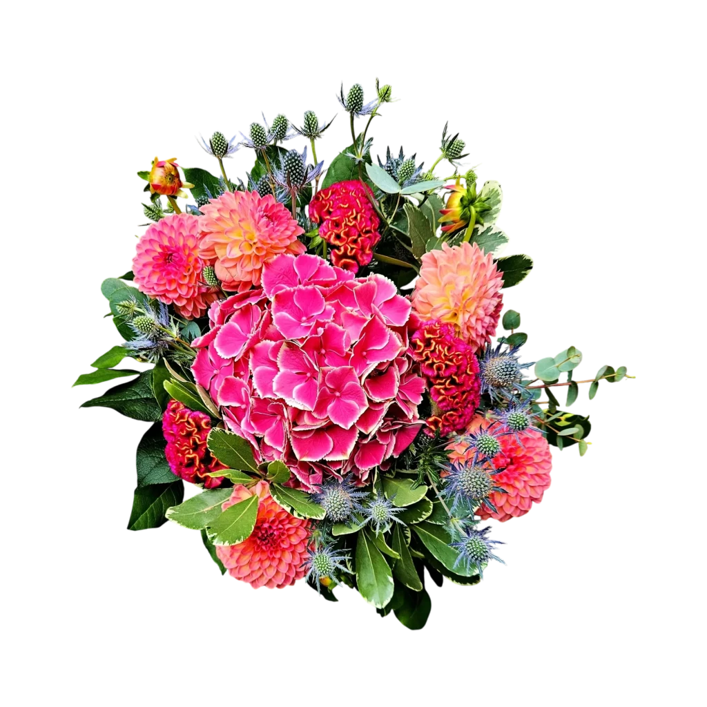 Gros plan du bouquet de juin genève hortensia rose avec ses dahlias pêche et chardons bleus, sur un fond sombre.